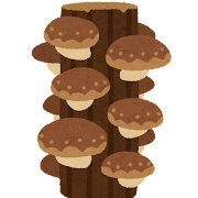 food_shiitake_genboku1